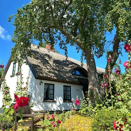 Irmi S Kate Rzv Vakantiehuis Gross Stresow