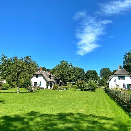 Irmi S Kate Rzv * Groß Stresow